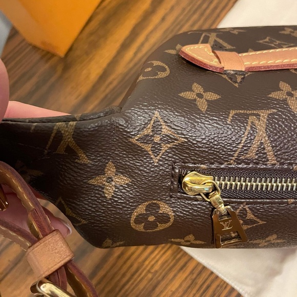 Louis Vuitton Monogram Bumbag - Picture 6 of 16